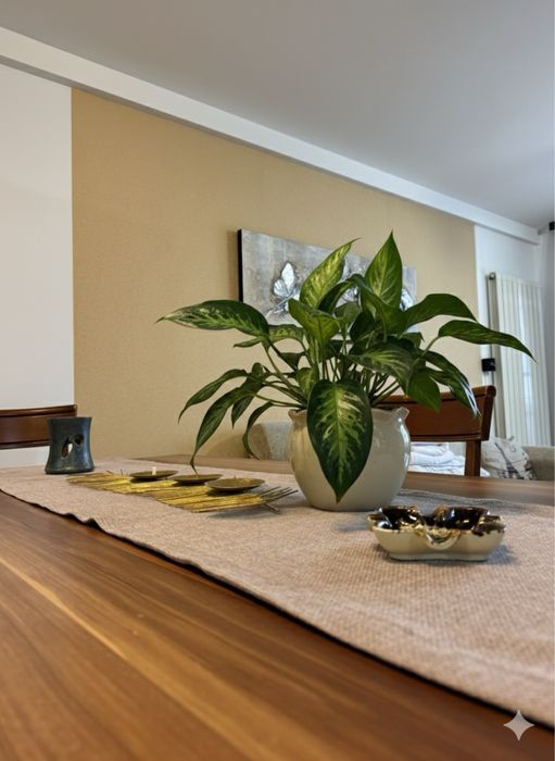 Inchiriez apartament in centrul istoric cu parcare regim hotelier