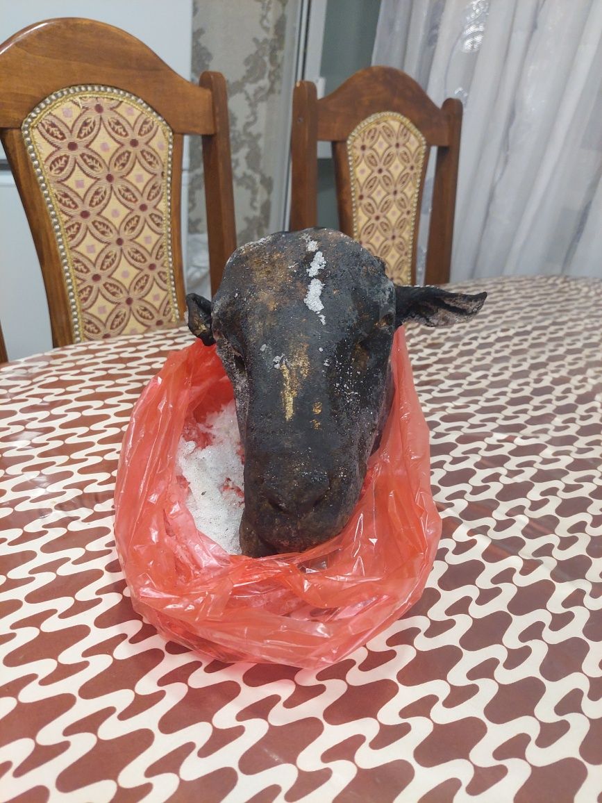 Голова барана қойдын басы