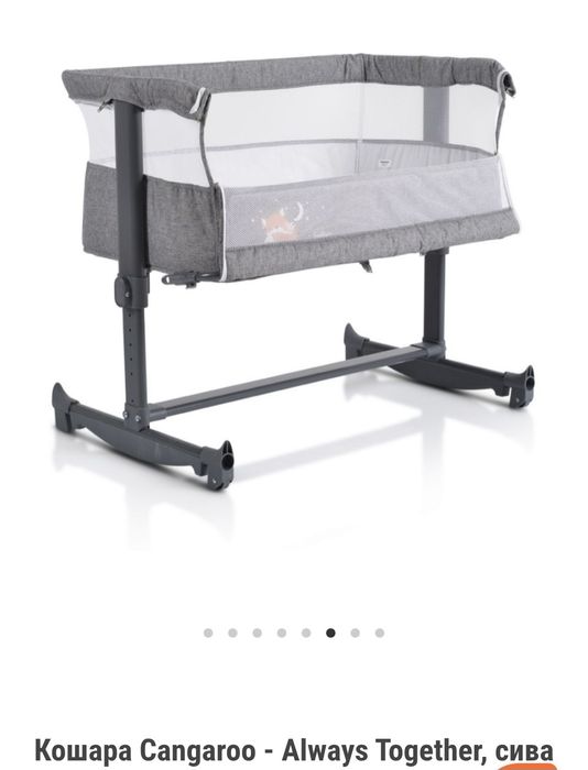 Кошара next to me cangaroo always together