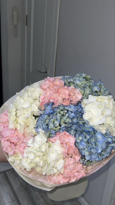 Цветы гортензии