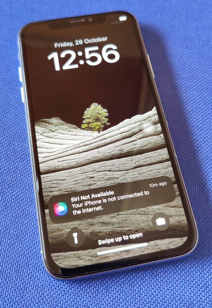iPhone X with 64g
