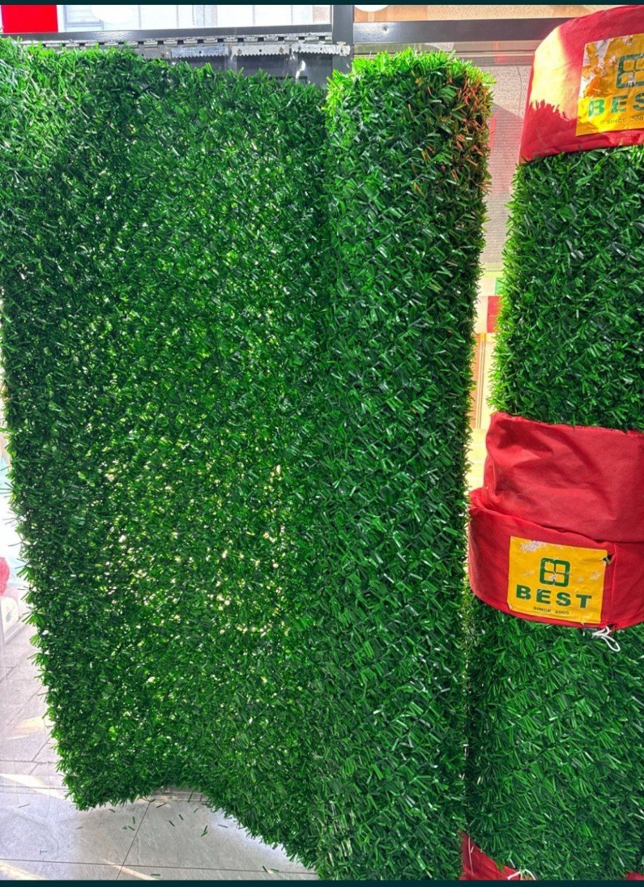 Яшил девор. Зелёный забор