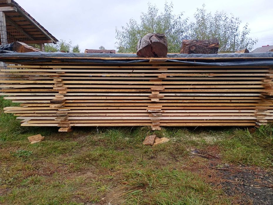 Vând scandura rasinoase