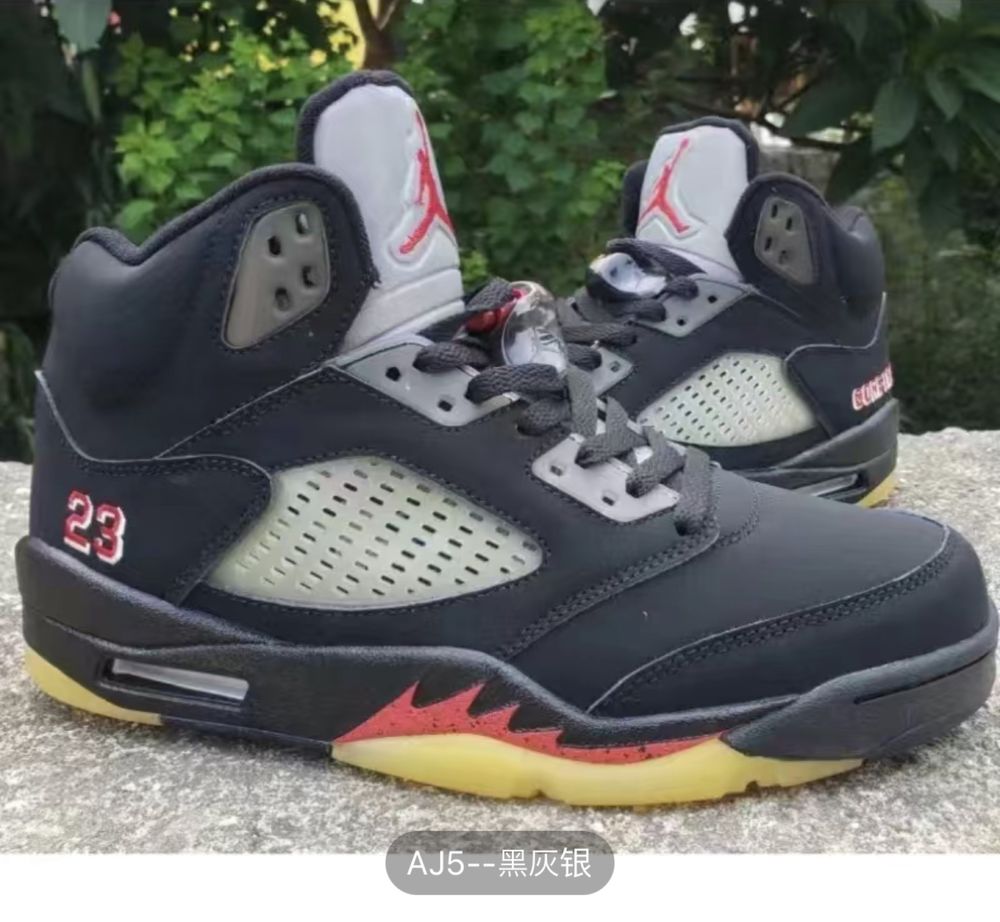 Air jordan 5 GORE-TEX