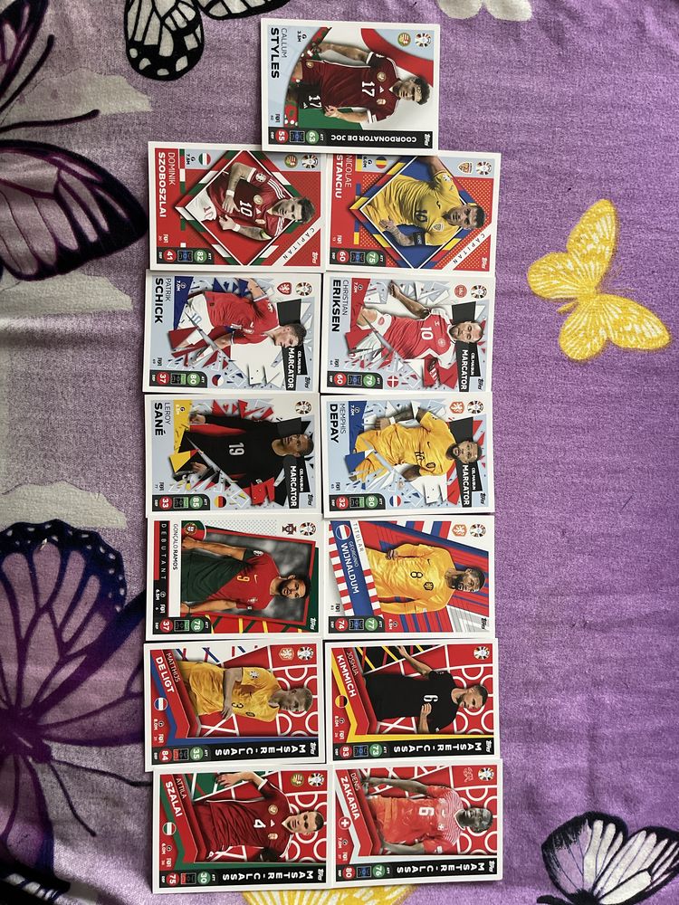 Vând cărți Euro 2024