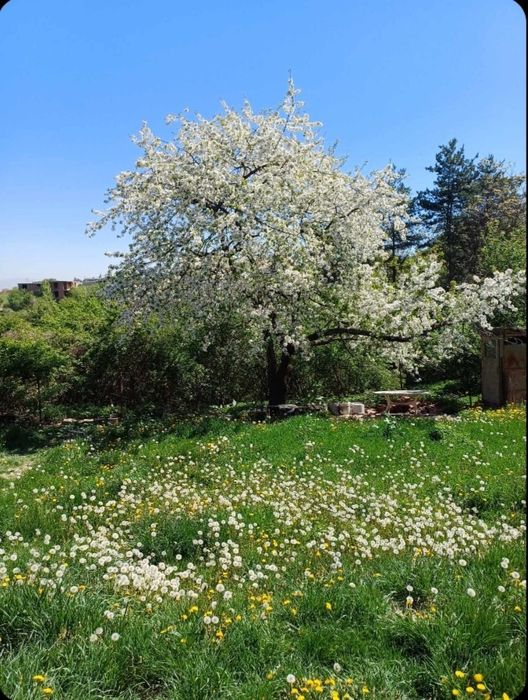 Продава се Парцел в София, Люлин 5 - 587 кв.м за 237 €/кв.м - Снимка #2