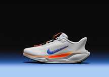 Nike Pegasus Easyon