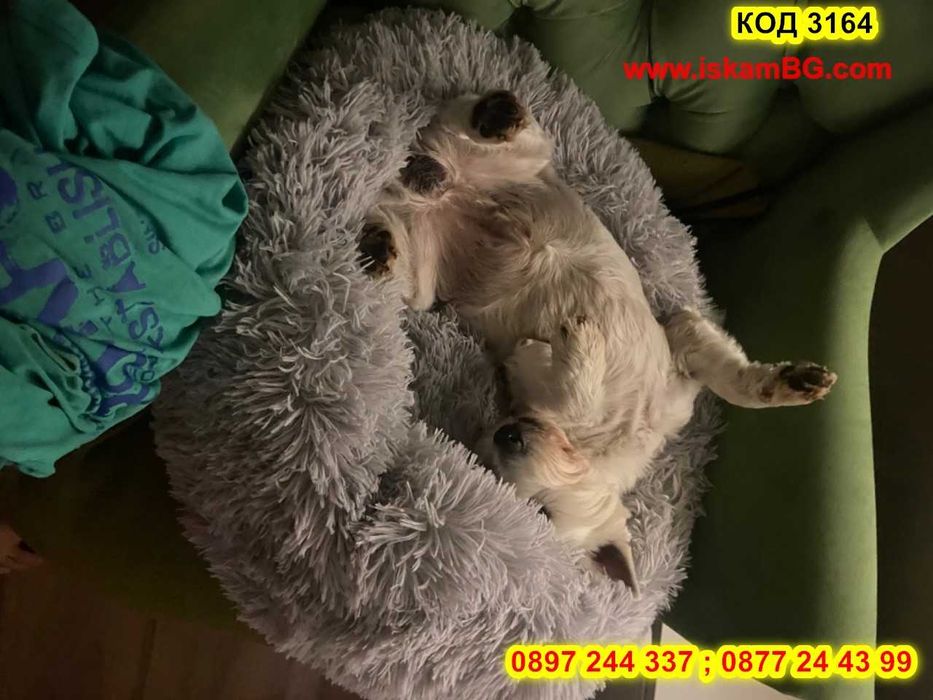 Меко пухено гнездо кръгло легло за куче или котка, кучета, котки -3164