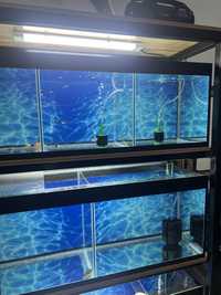 Стеллаж аквариум