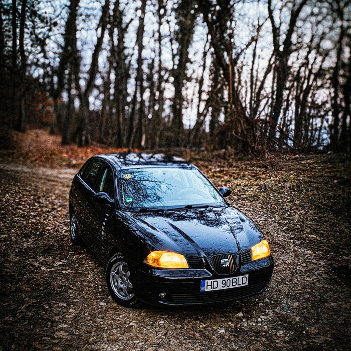 Vand Seat Ibiza 6L non facelift