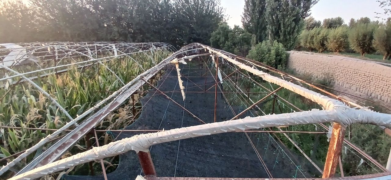 Tiplitsa 6 sotix