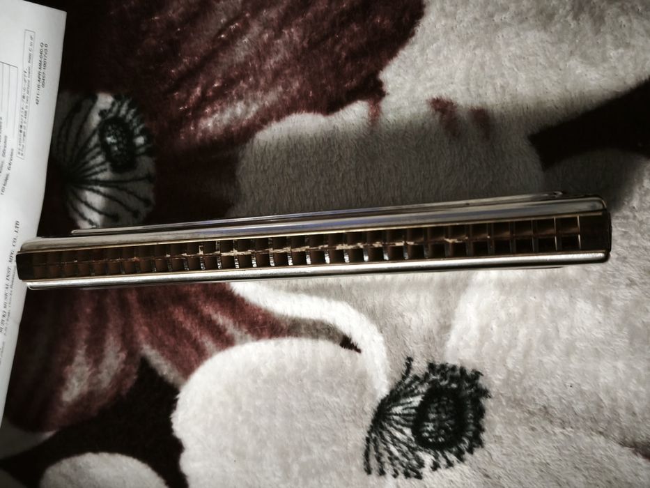 Muzicuță Hohner gama C și G tremolo.