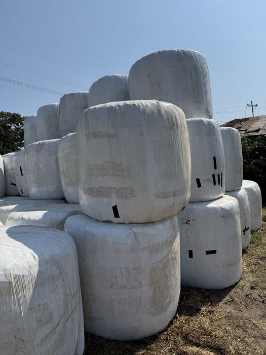 Baloti Infoliati de Siloz