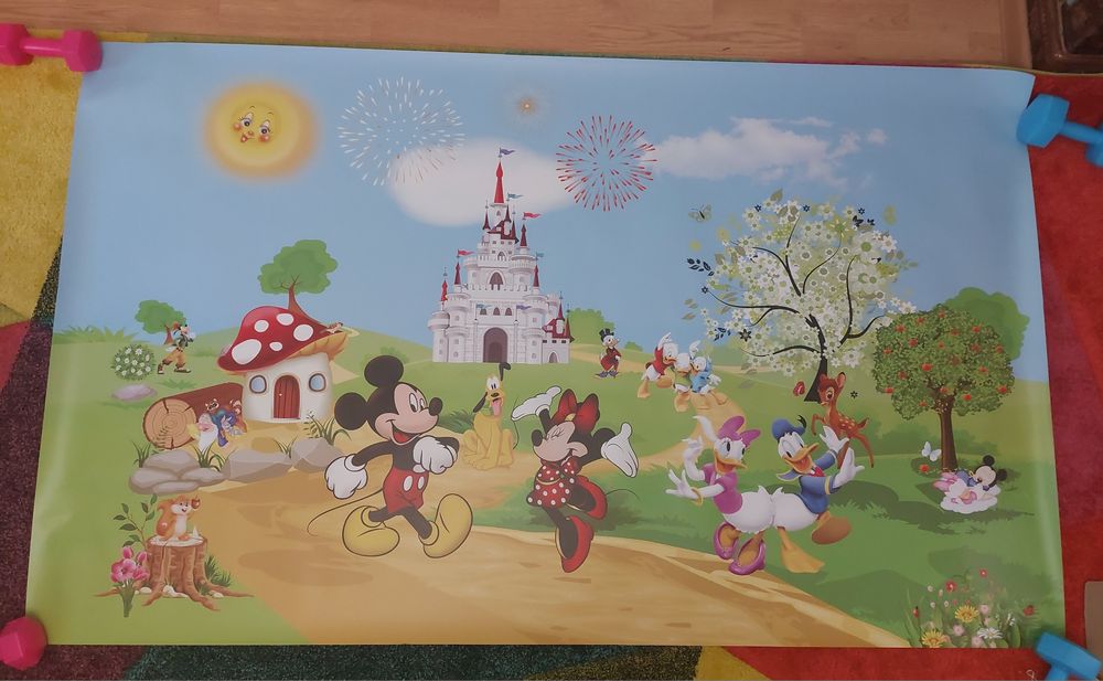 Fototapet copii, Patrula Canina in Natura  si Disney Mickey and Friend