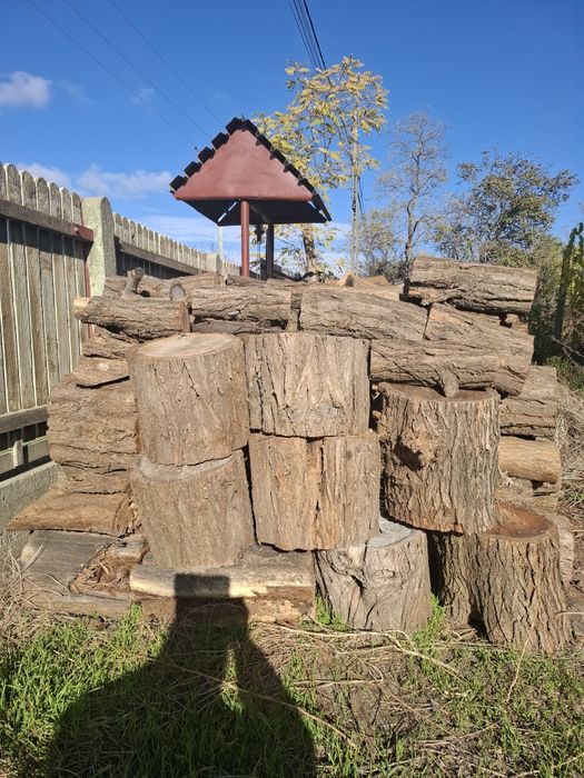 Vand lemne salcam uscat.