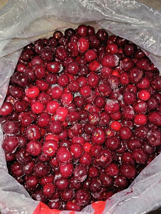 Продам вишню дачную чистую заморозка