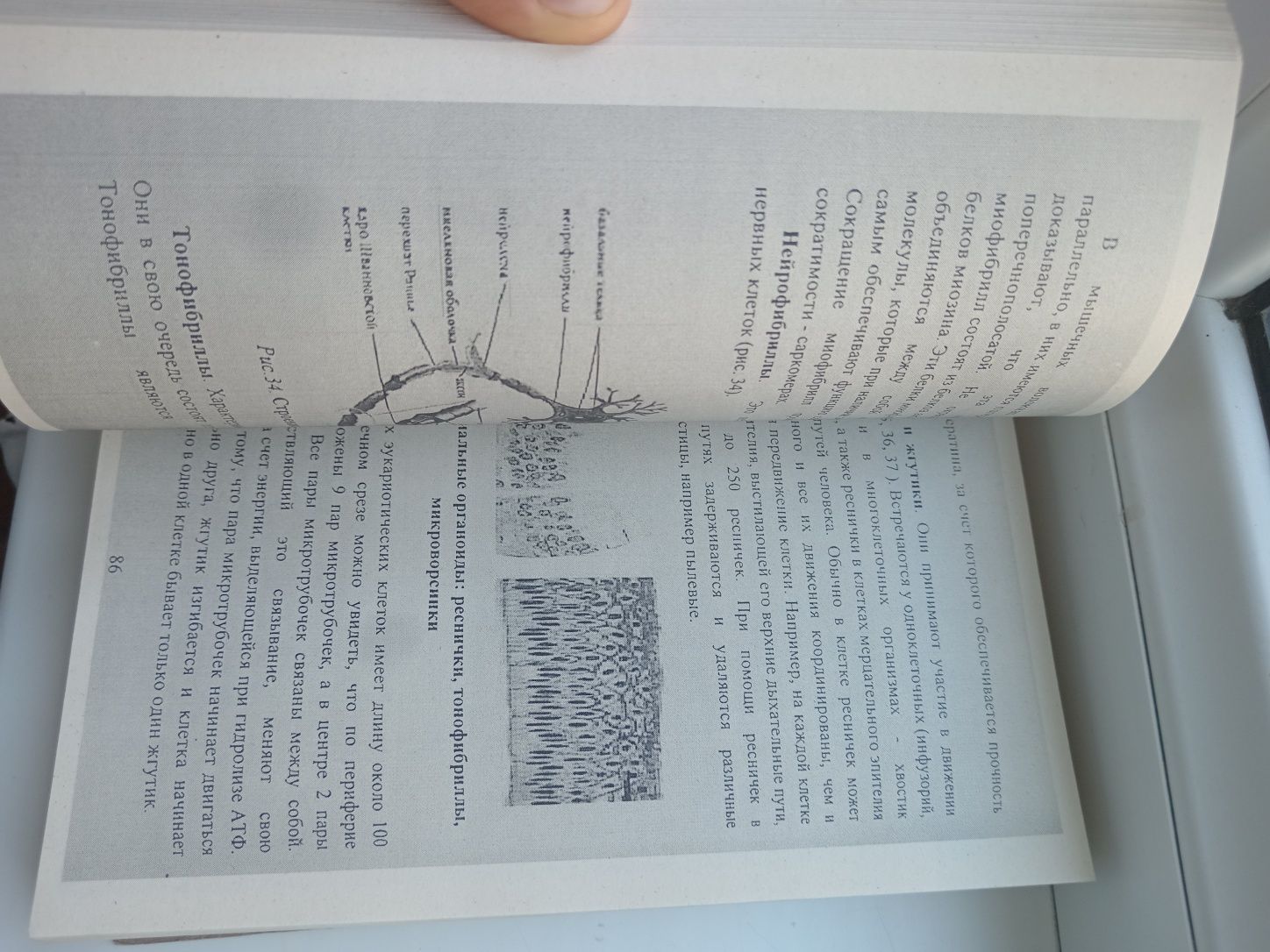 Книга медицинская биология и генетика