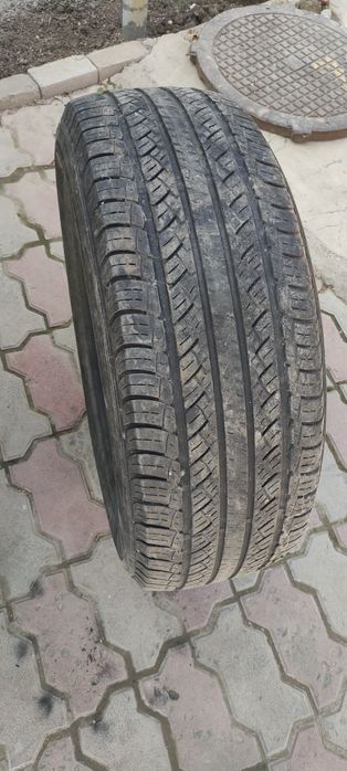 Шины летние Thunderer