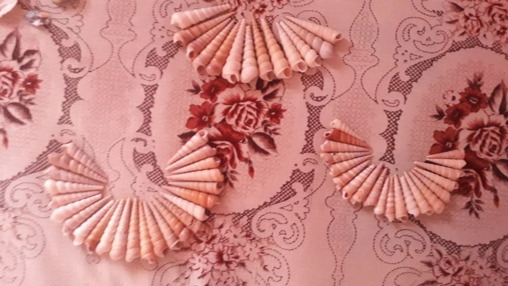 Морские раковины