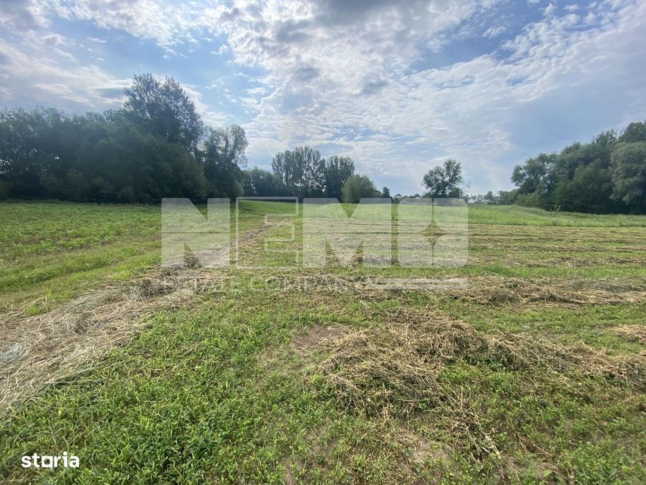 Teren Extravilan | 23 Ari | Satu Mare