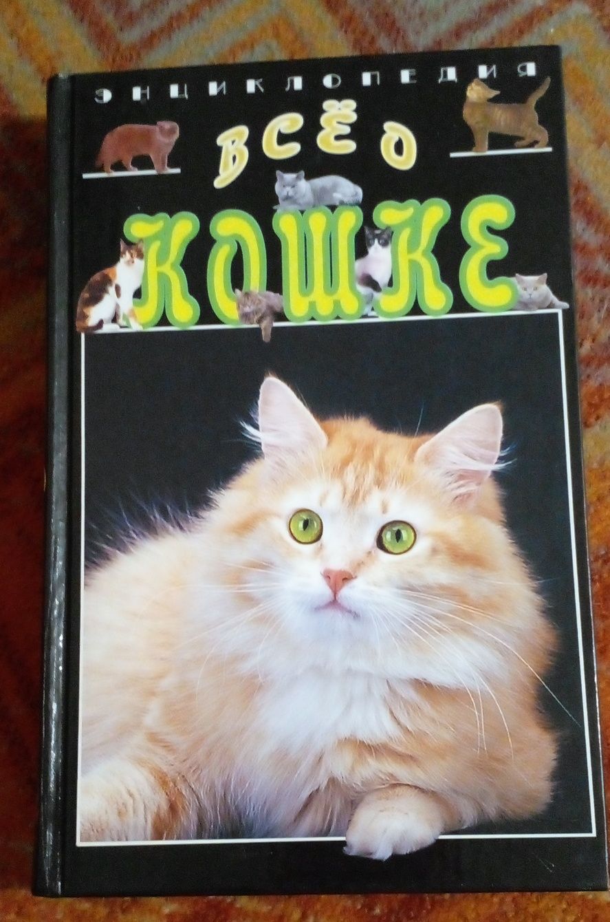 Книга всё о кошке.