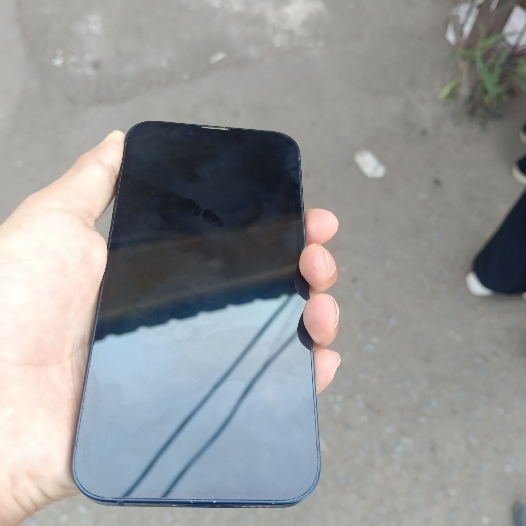 iPhone 13  Ёмкость 100%  128gb