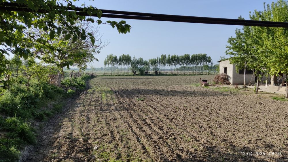 Uy Sotiladi Toshkent viloyati Bo'ka Tumani Ramadon MFY Janabay 15 uy