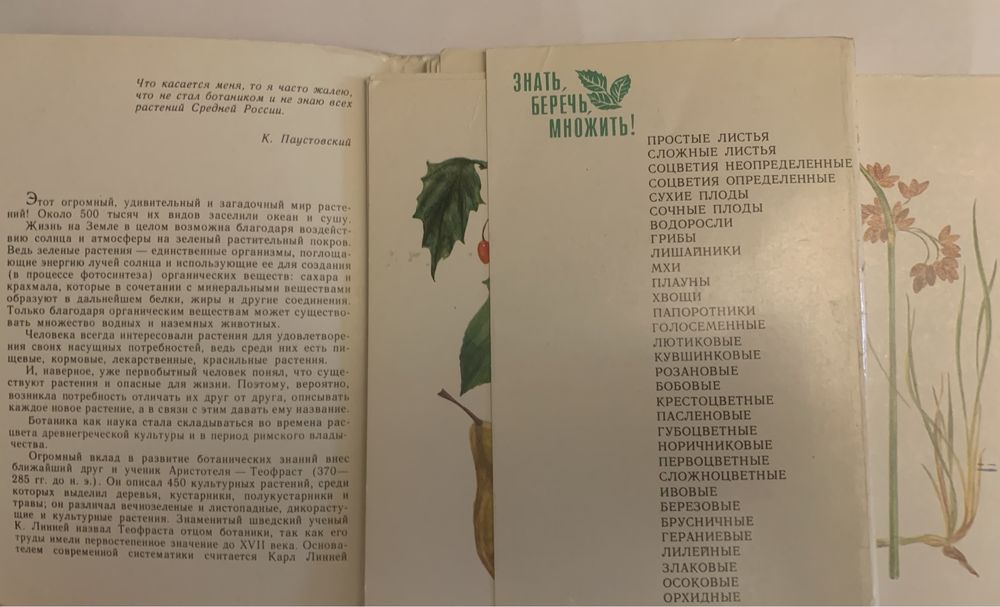 Лекарственные растения ( наборы открыток СССР)