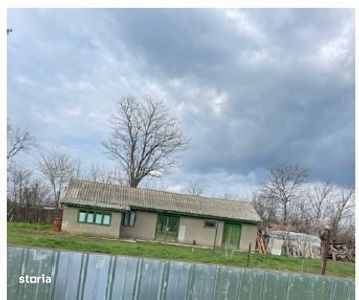 Casa si teren Bordei Verde, Jud. Braila 3005384