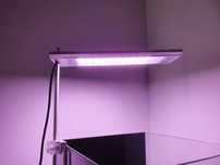 Vand lampa week aqua s300pro