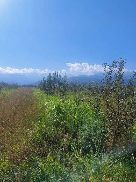 105 соток Болеке меняю на участок Есике