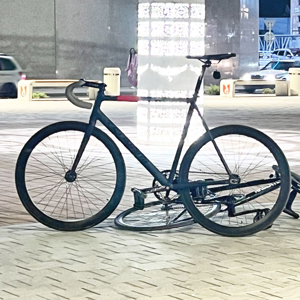tsunami fixed gear