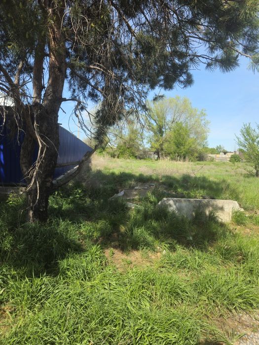 С/Д-ий коллектив 'Сосна" участок