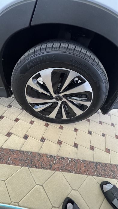 BYD Chempion Gibrid Full  2025