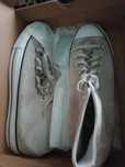 Tenesi Converse All star