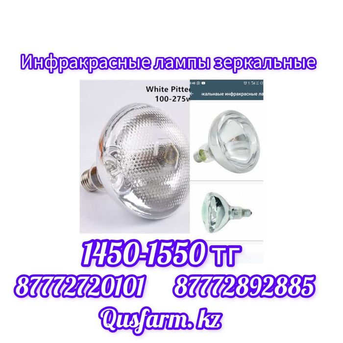 Лампа для цыплят бройлер несушка кур несушек брудер ов