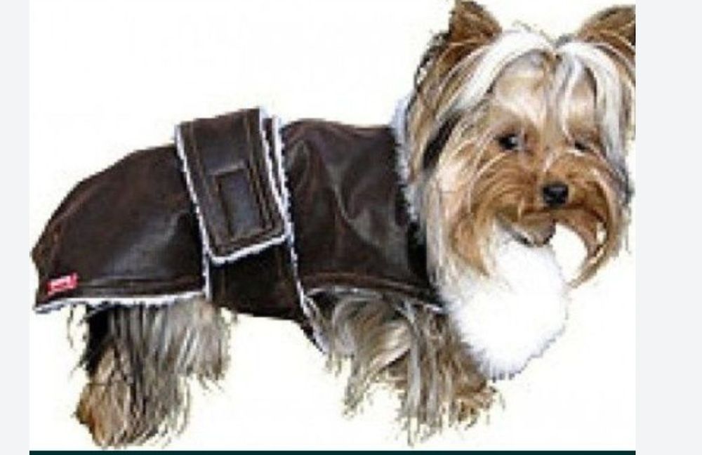 Haine caine talie mica