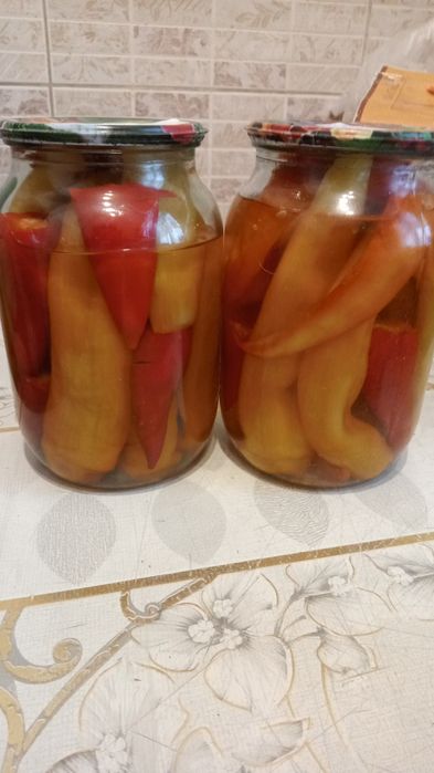 Домашний горький перец