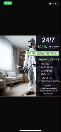 Дезинфекция дезинсекция дератизация