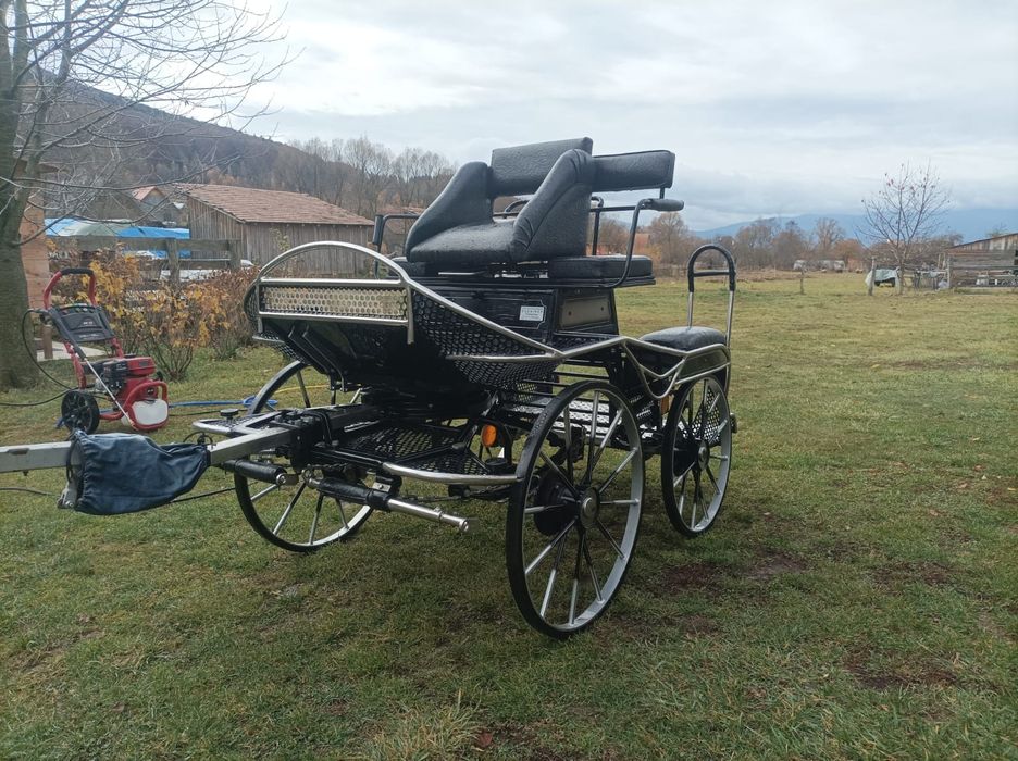 Trasura Maraton Germania