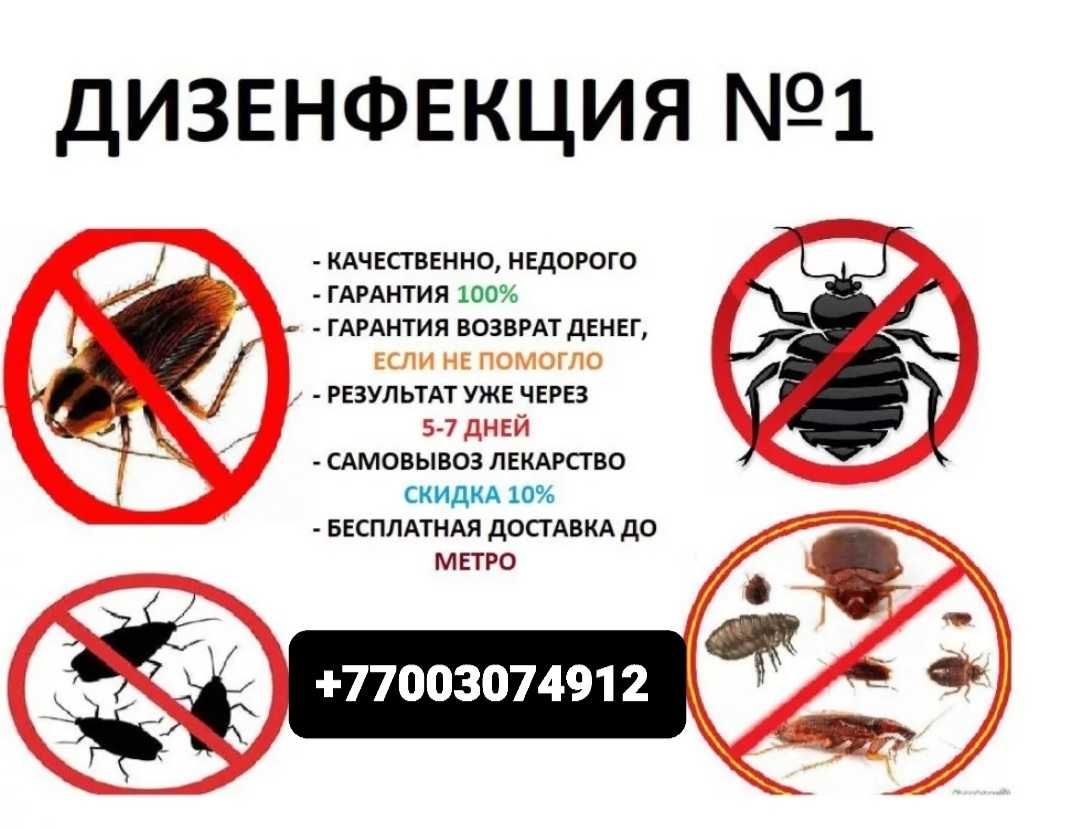 Профессиональная д.е.з.и.н.ф.е.к.ц.и.я химия плесень клопы тараканы