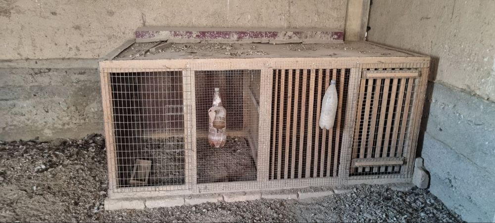 Клетка для тренировочный петуха