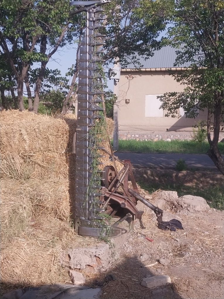 T 25 pat pat seno  kasilka