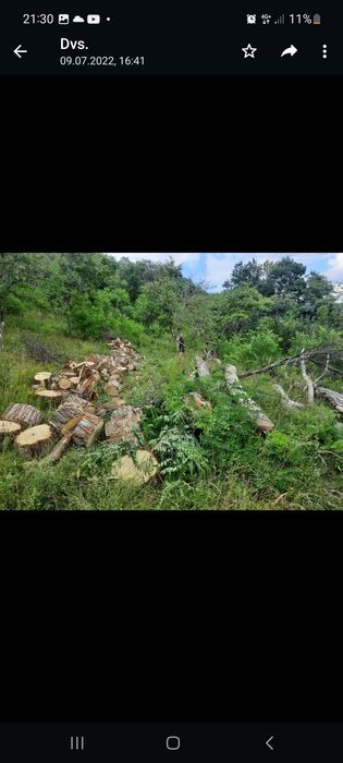 Tai lemn de foc la domiciliu client