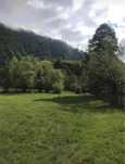 Teren vanzare 5000m2