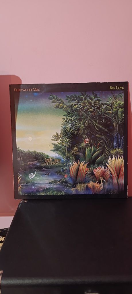 Fleetwood Mac плоча