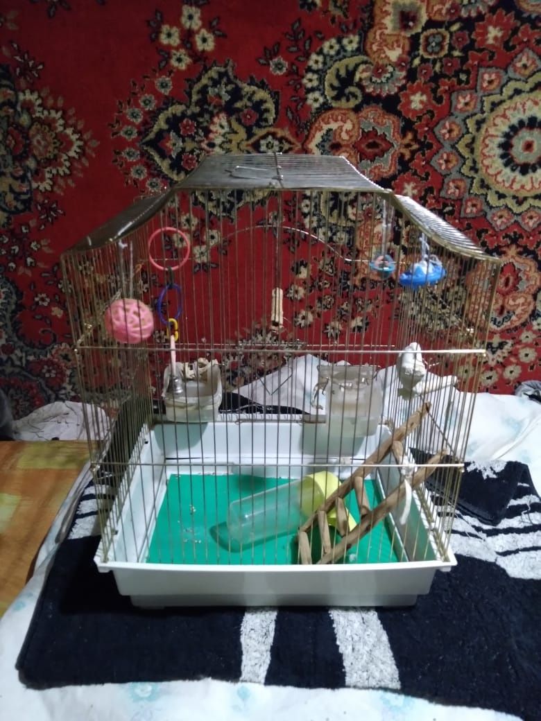 Продам клетку для птиц