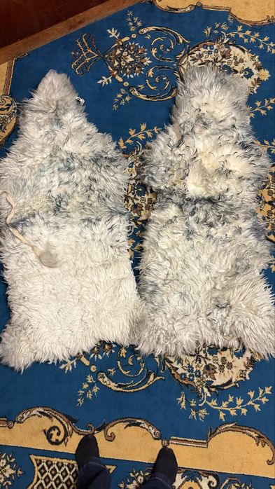 Продам авто чехлы