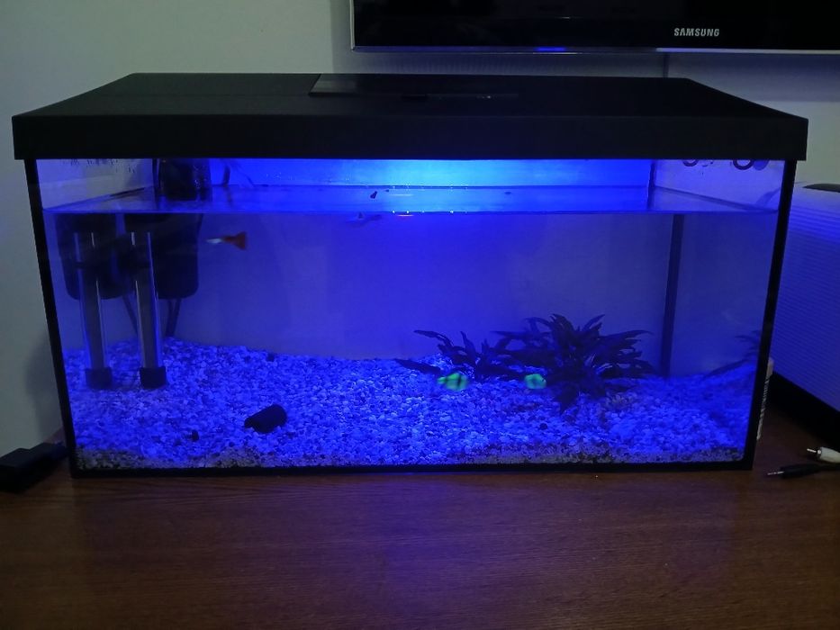 Vând acvariu anual 54l