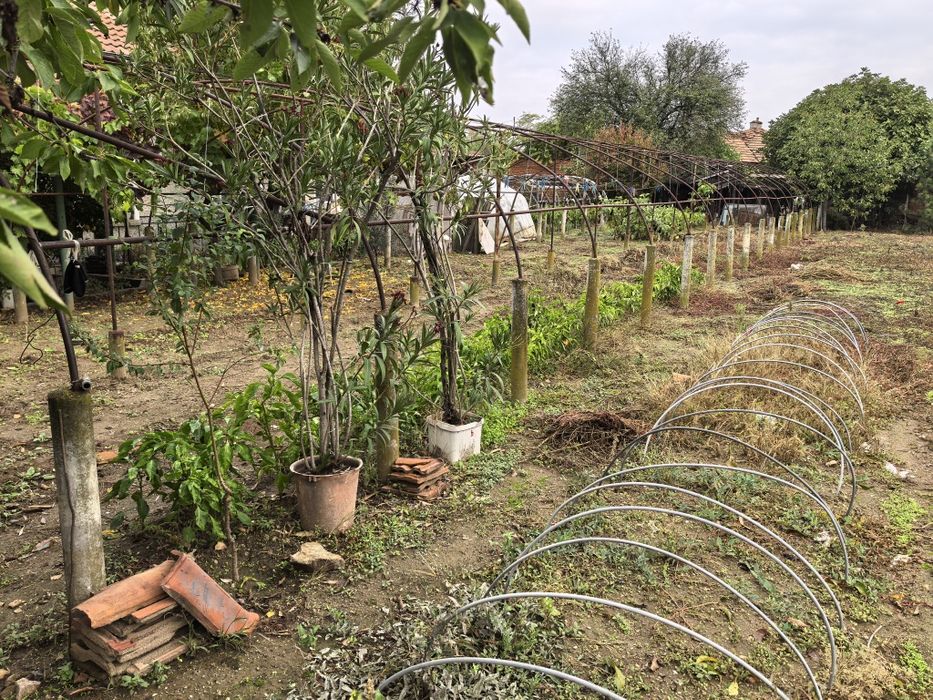 Оранжерия 28 метра